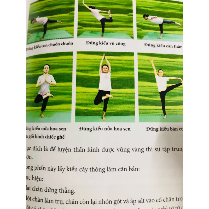 DƯỠNG SINH ( có chữ ký tác giả) 488562