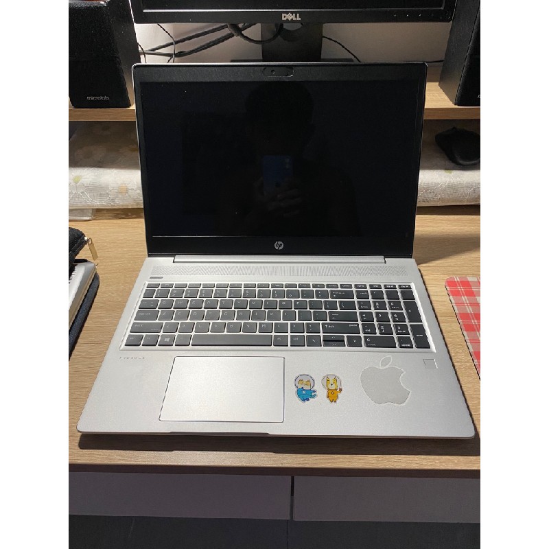 Laptop HP Probook 455 G7 SSD 500GB 8GB RAM 18142