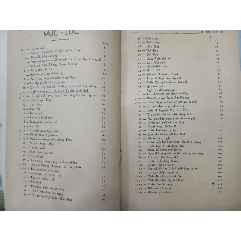 ĐẠI DIỆC TOÀN BỘ 561581