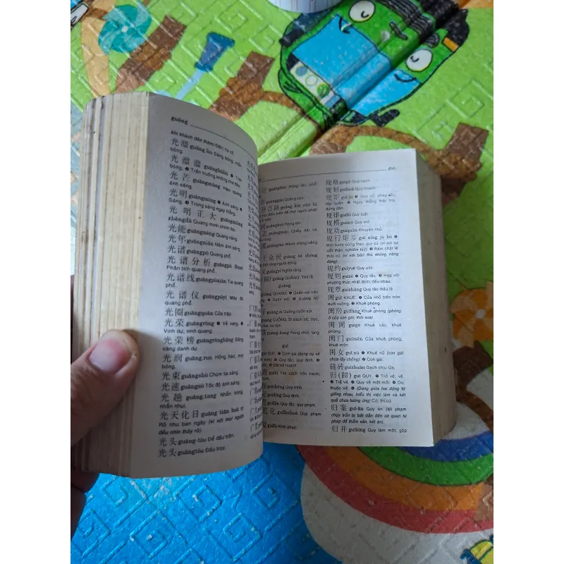 Từ Điển Trung - Việt 995067