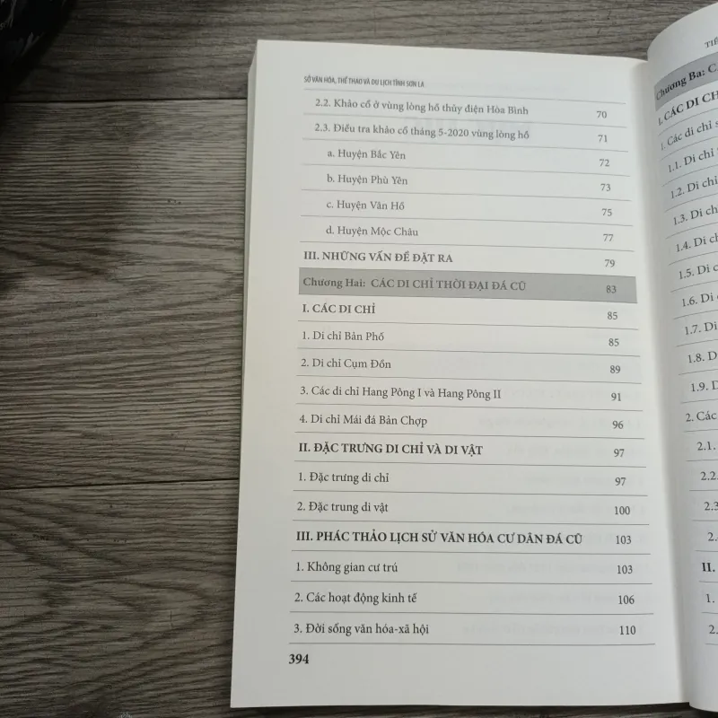 Tiền Sử Vùng Lòng Hồ Thủy Điện Hòa Bình Trên Địa Bàn Tỉnh Sơn La- Nguyễn Khắc Sử  782340