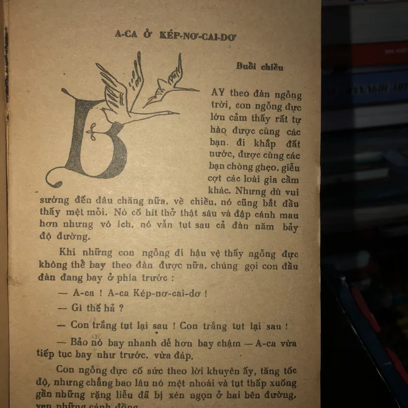 Cuộc du lịch kỳ diệu của Nin Hơ-gớc-xơn - Xen-ma La-gớc-lốp 797474