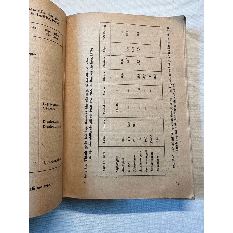 Sách Vi Nấm 503420