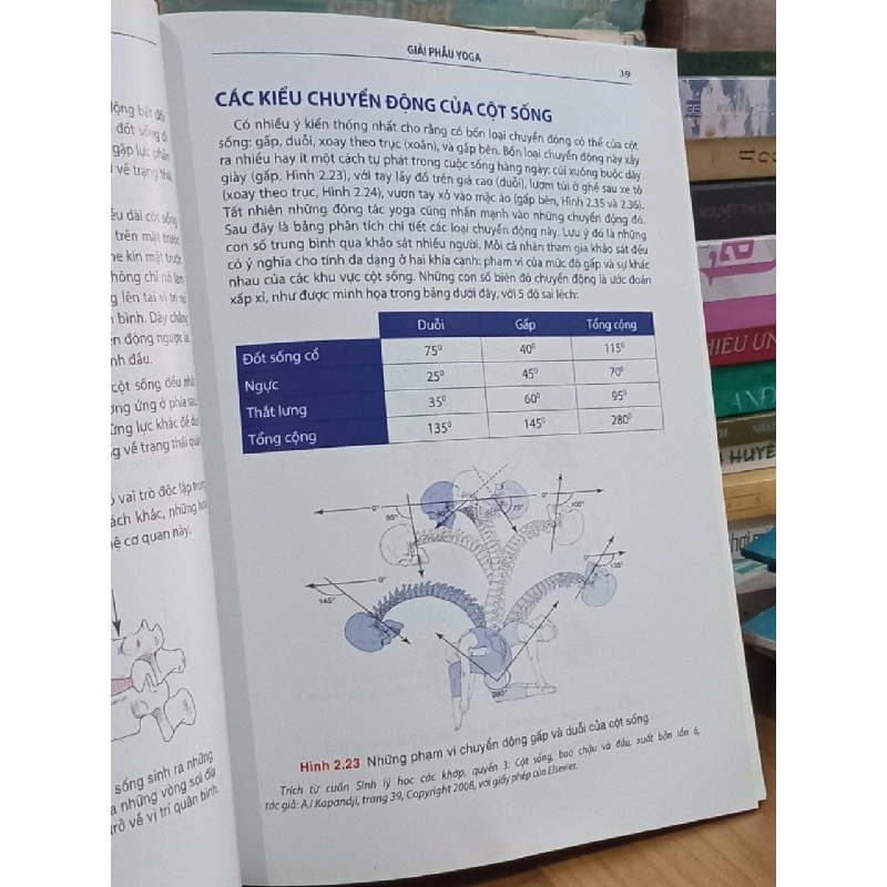 Giải Phẫu Yoga - Leslie Kaminoff, Amy Matthews (Nguyễn Khánh Nhất Dịch) 1067509