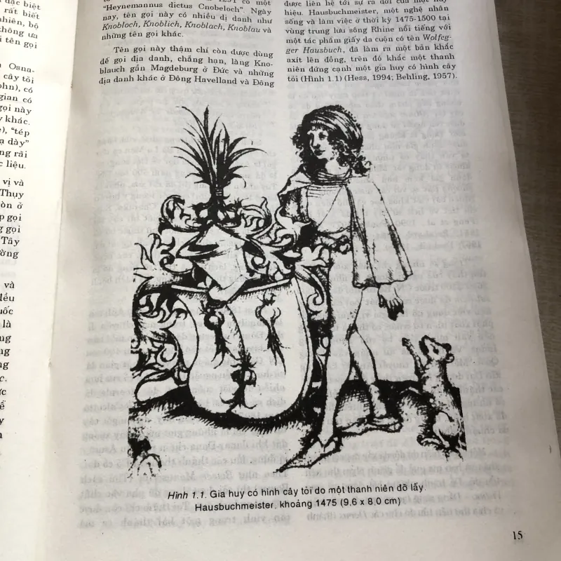 Tỏi-Khoa học và tác dụng chữa bệnh 993327