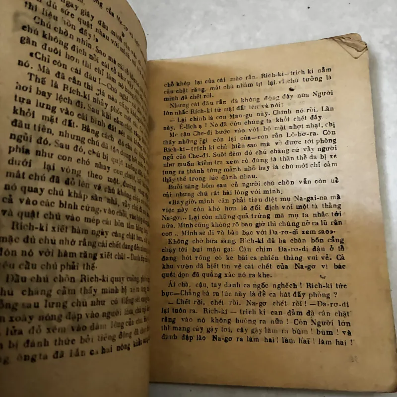Chú chồn nhỏ Rích ki 1038566