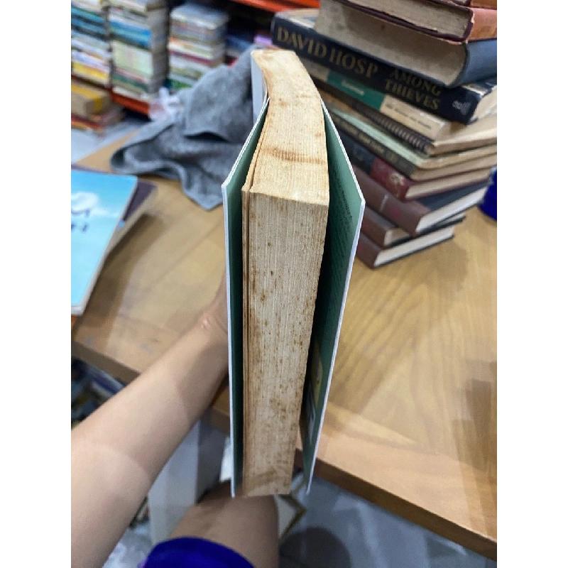 Phương pháp giáo dục Montessori: Sức thẩm thấu của tâm hồn - Maria Montessori 531590