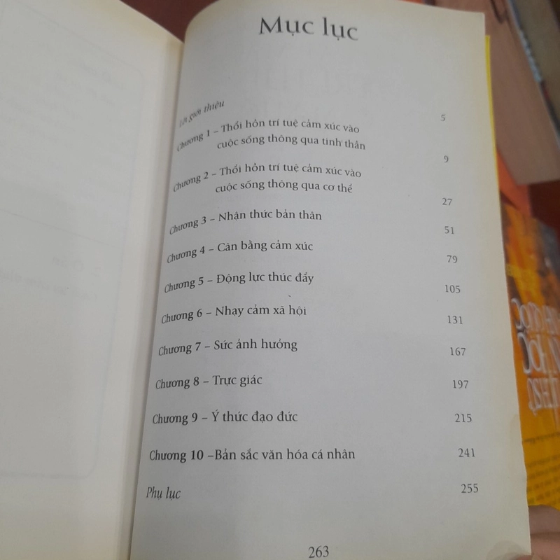 Andrea Bacon & Alidawson - GIẢI MÃ TRÍ TUỆ CẢM XÚC 447839