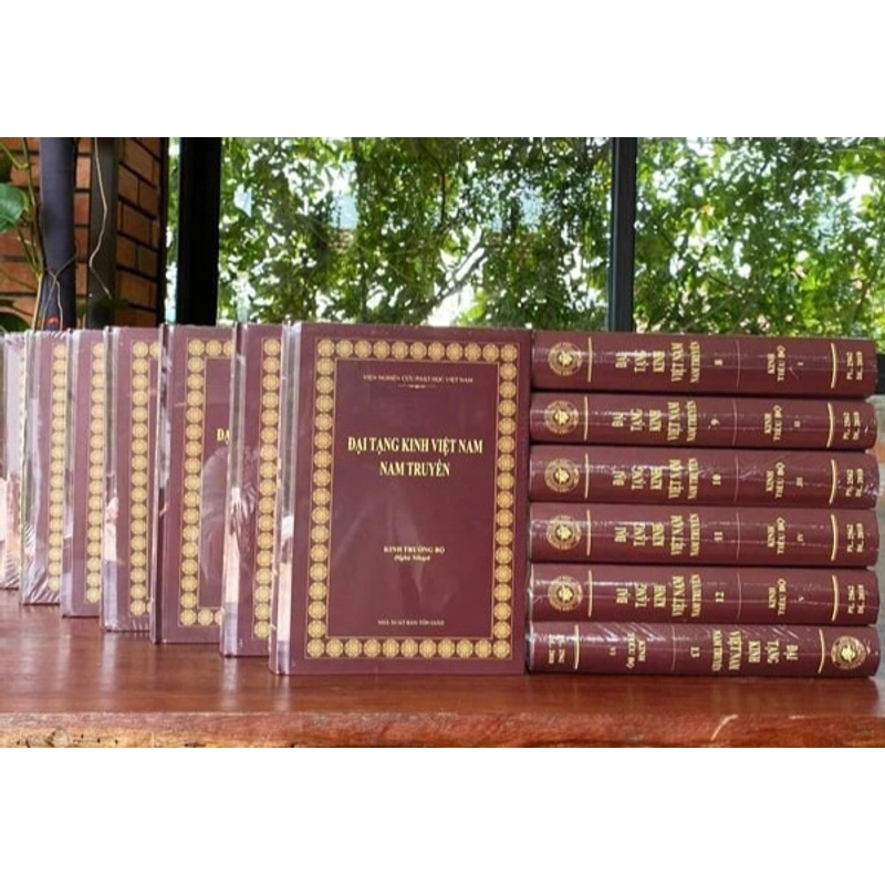 Đại Tạng Kinh Việt Nam Nam Truyền (Trọn Bộ 13 Cuốn Kinh Nikaya) 548517
