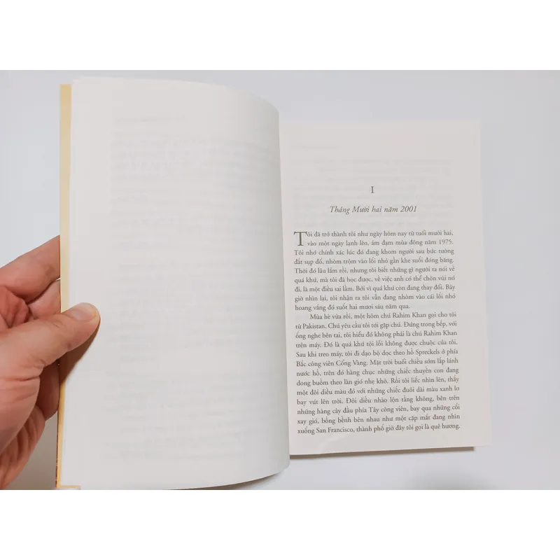 Người Đua Diều 713480