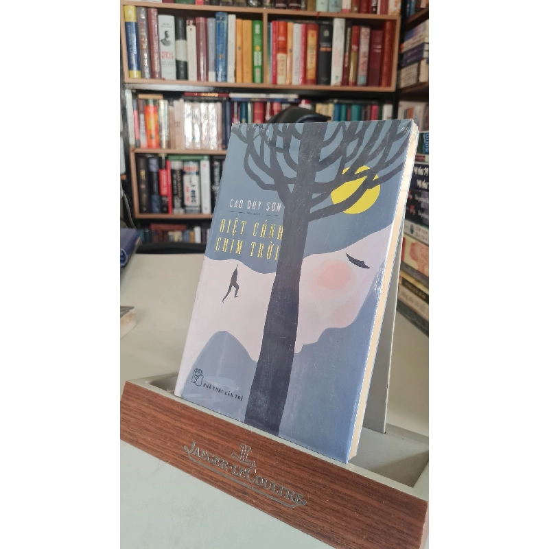 Biệt cánh chim trời - Cao Duy Sơn Sách văn học STB0302 Rebooks.vn 939705