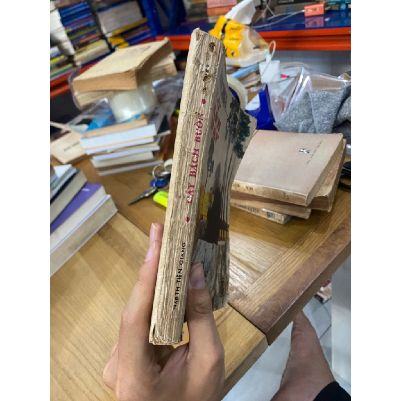 Cây bách buồn - Agatha Christie 523712