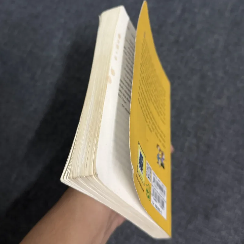 Buổi chiều Windows - Nguyễn Nhật Ánh 1012821