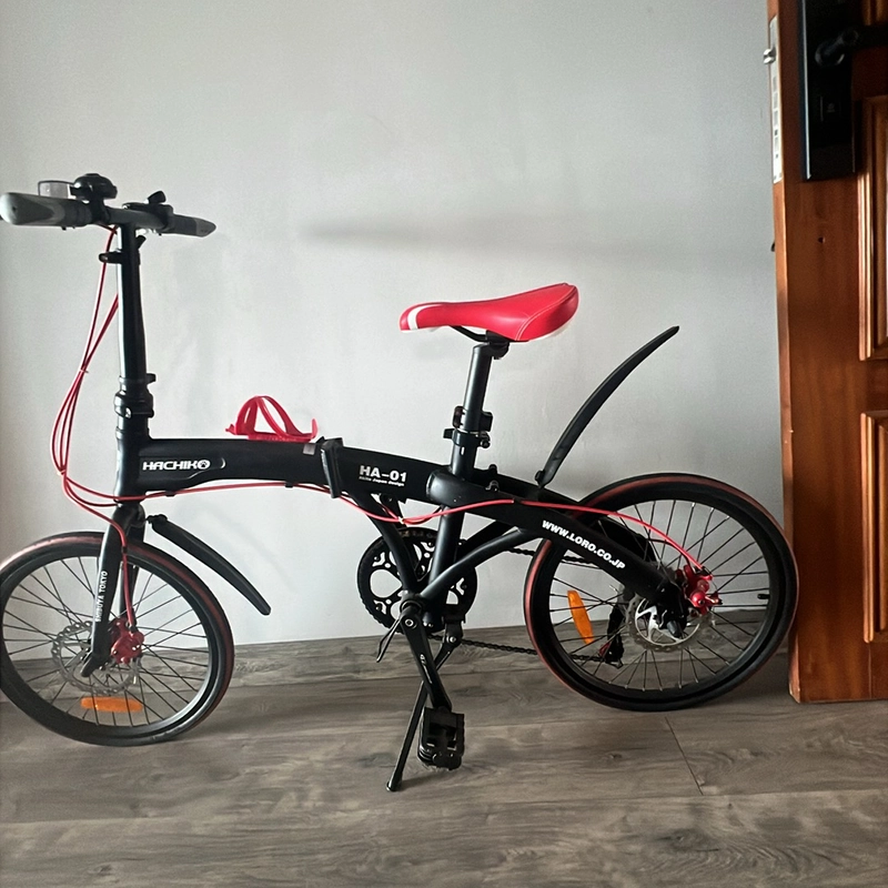 Xe đạp thể thao, gấp được để trong xe hơi 466609