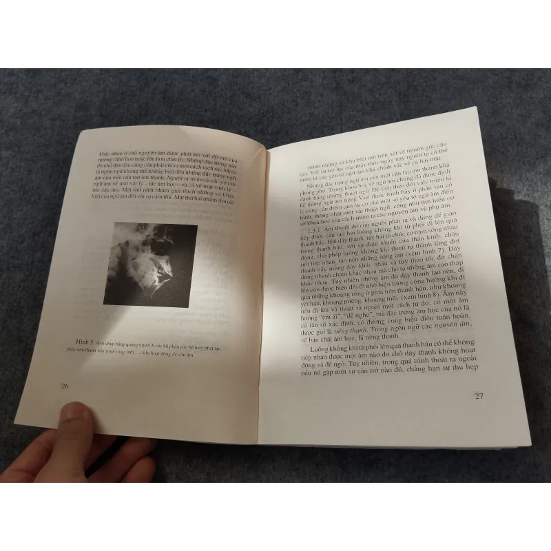 NGỮ ÂM TIẾNG VIỆT 720735