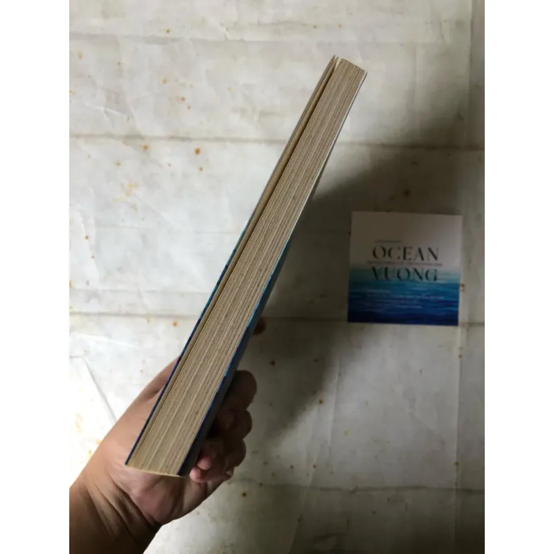 Trời Đêm Những Vết Thương Xuyên Thấu - Ocean Vương 756686