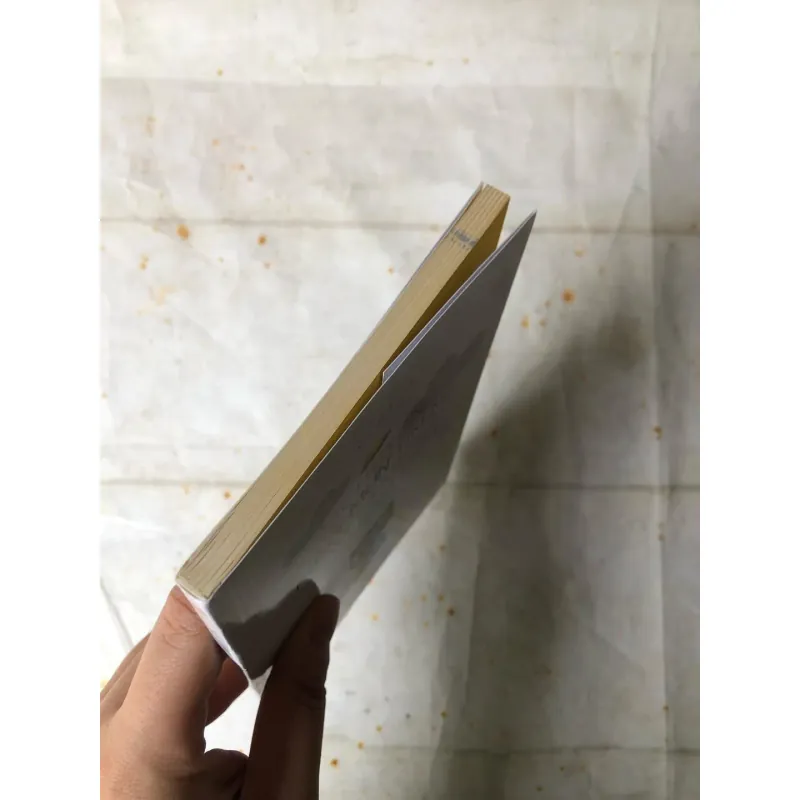 Chuyện Mèo Mun Tìm Mẹ Và Những Ánh Sao Đêm - Việt An 783085