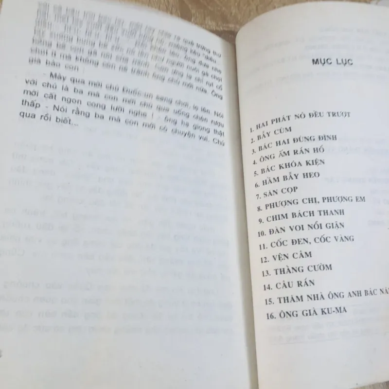 SĂN CỌP ( nxb:  Kim Đồng)   1029942