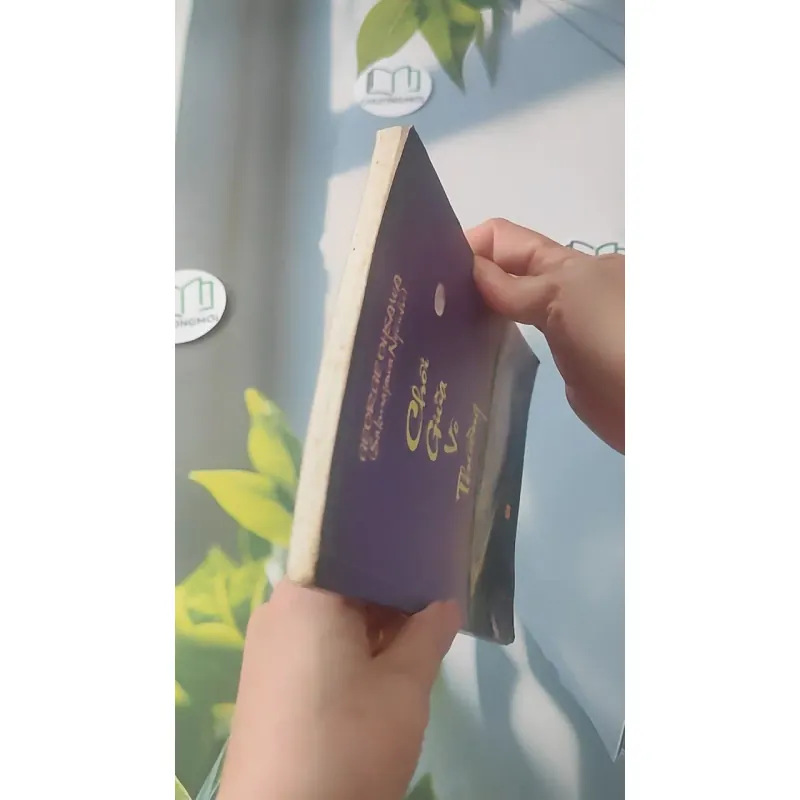 Chơi Giữa Vô Thường - George Ohsawa 928512