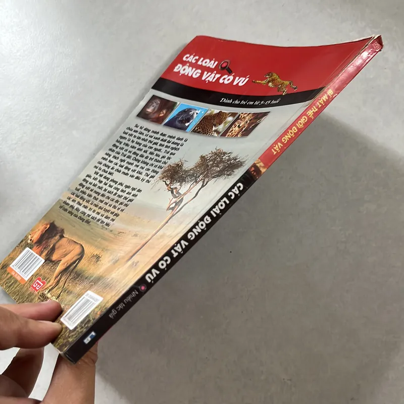 Bí mật thế giới động vật - Các loài động vật có vú 596649