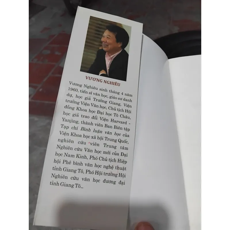 Văn học đương đại Trung Quốc tác giả và luận bình 703693