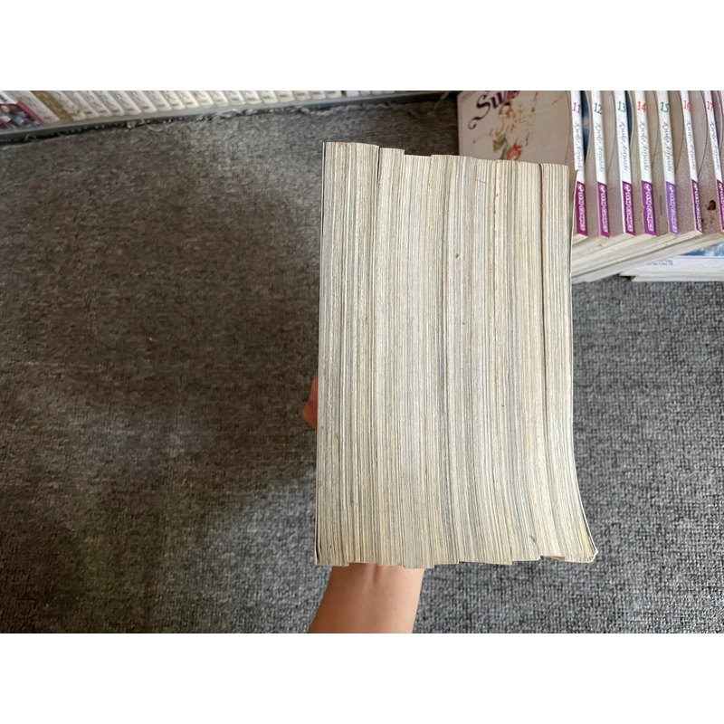 Truyện Swan Hồ Thiên Nga - NXB Kim Đồng 291567