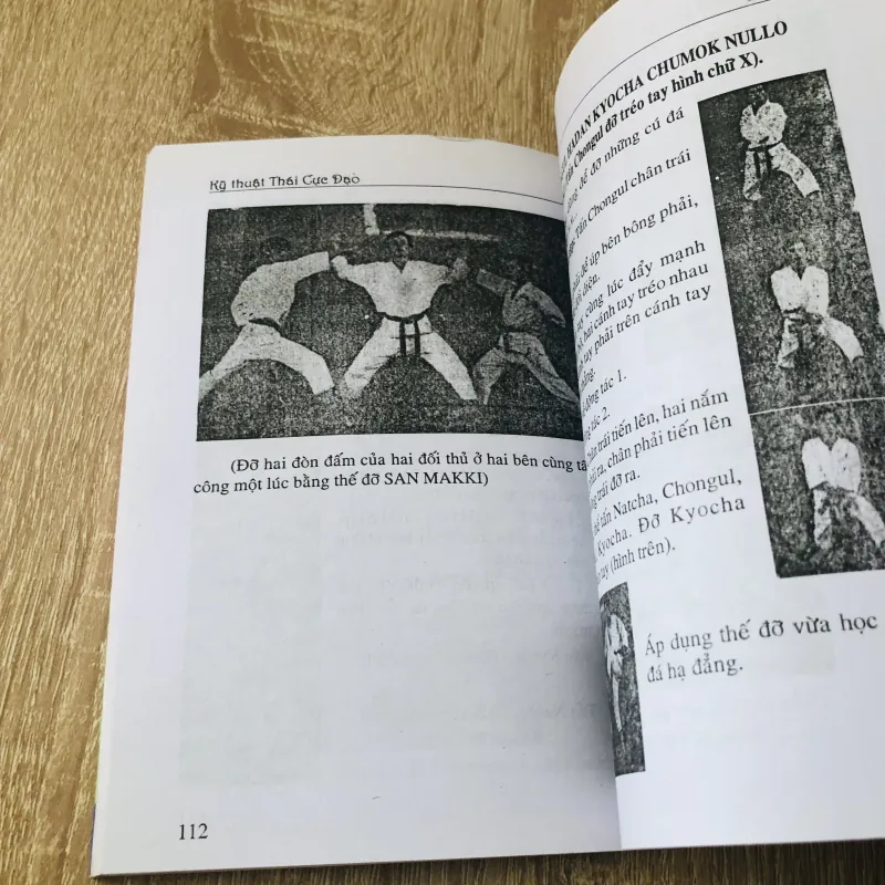 KỸ THUẬT THÁI CỰC ĐẠO 1011235