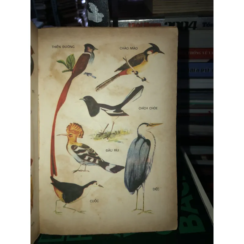 Từ điển học sinh   786811