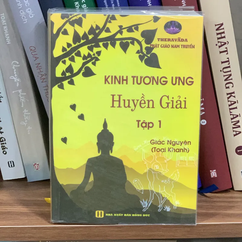 Sách Kinh Tương Ưng Huyền Giải tập 1 578010