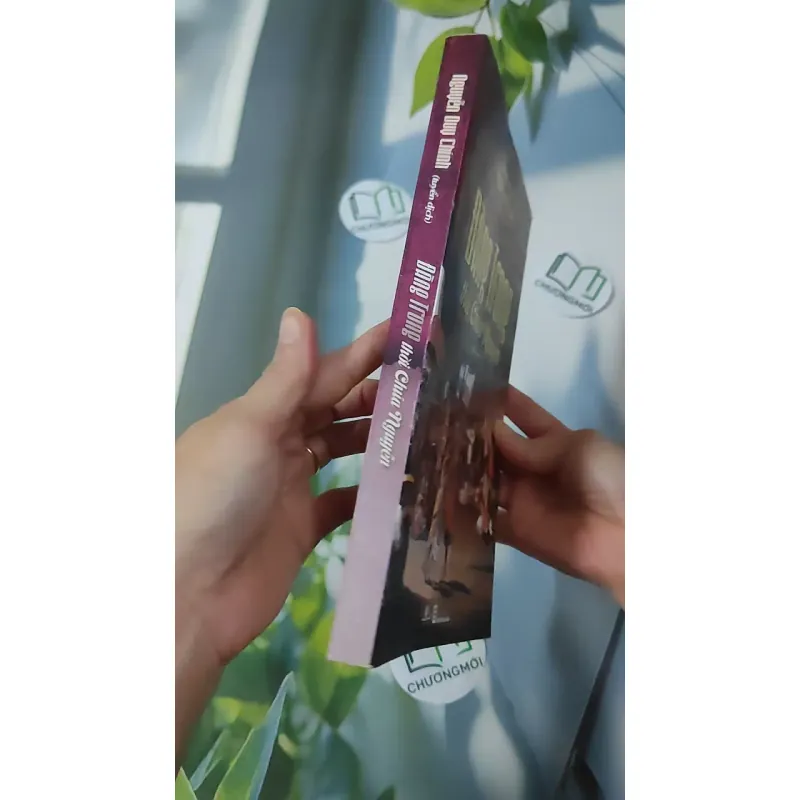 Đàng Trong Thời Chúa Nguyễn - Nguyễn Duy Chính 970274