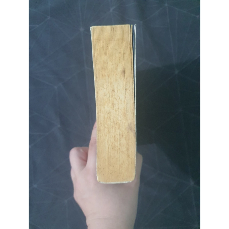 "Cô gái có hình xăm rồng" - Stieg Larsson 475609