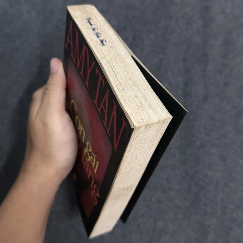 Con gái thầy lang - Amy Tan (Tần Ái Mỹ) 931359