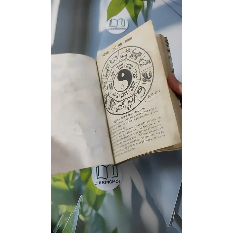 Cao Ly Đầu Hình 928568