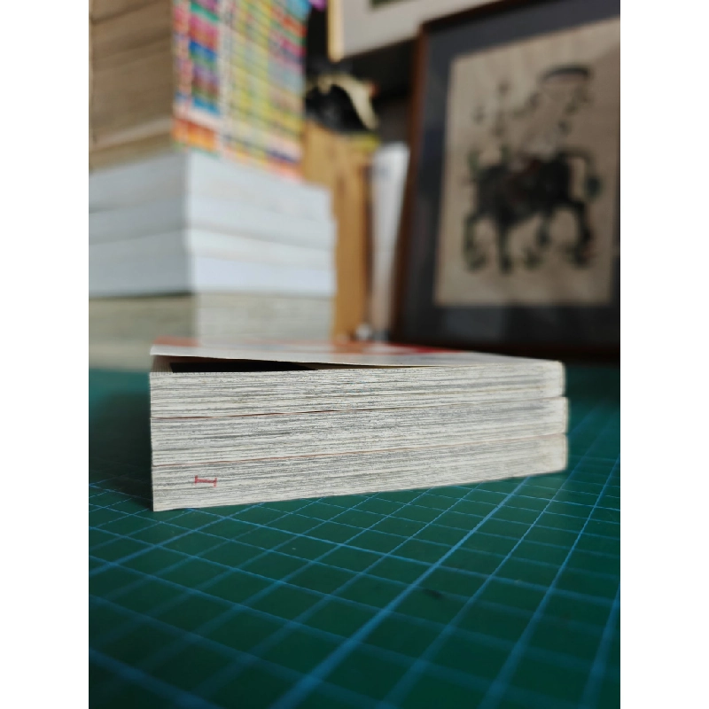 TRUYỆN TRANH Vầng Dương Mãi Sáng - Aihara Miki 139342