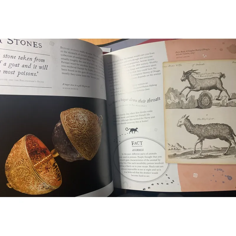 Sách Harry Potter - A Journey Through a History of Magic của Bloomsbury mới 90% 998189