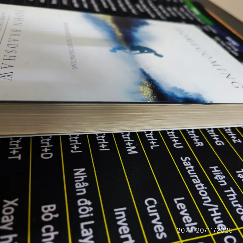 HOMECOMING - Hồi Sinh Đứa Trẻ Bên Trong Bạn - John Bradshaw 702843