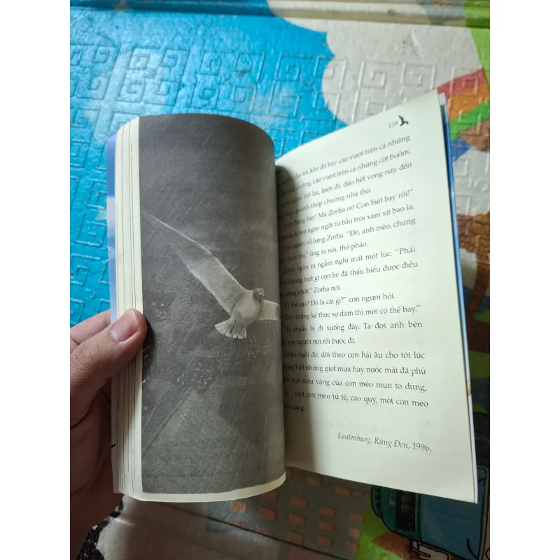 Chuyện con mèo dạy hải âu bay" 974691