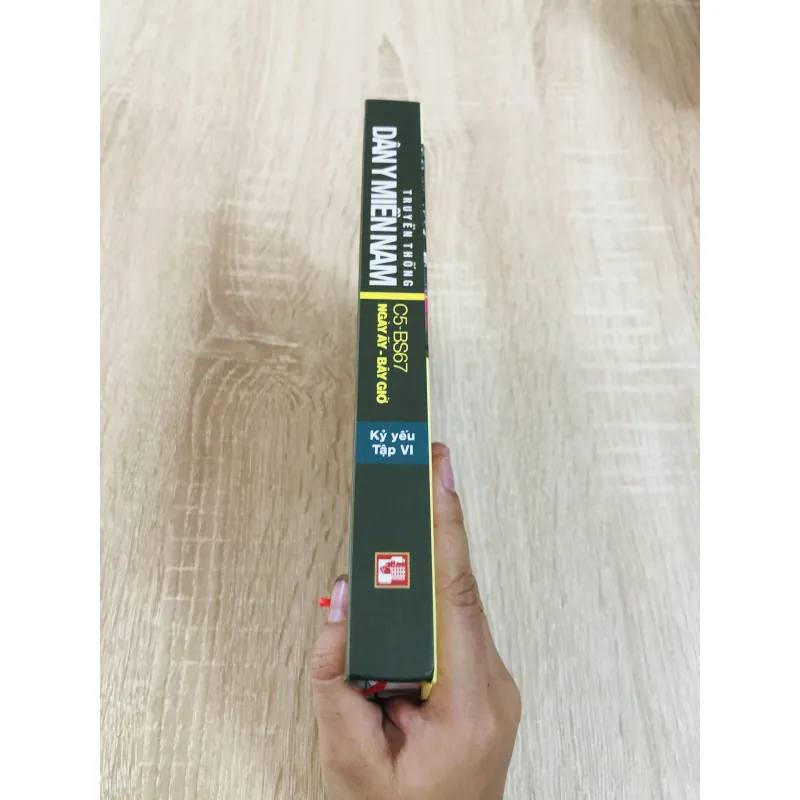 DÂN Y MIỀN NAM 974741