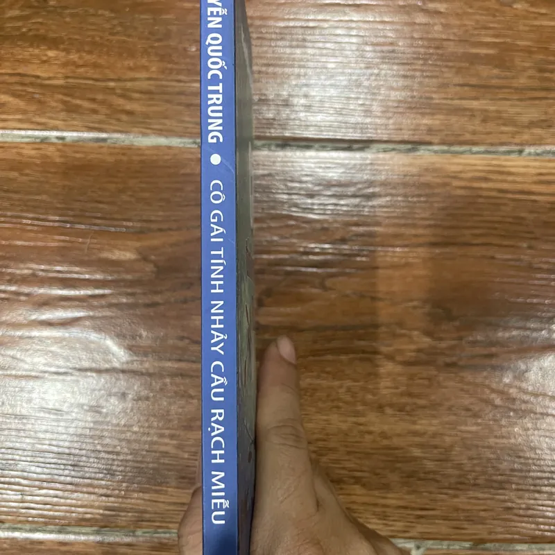 Cô gái tính nhảy cầu Rạch Miễu - Nguyễn Quốc Trung (8) 593324