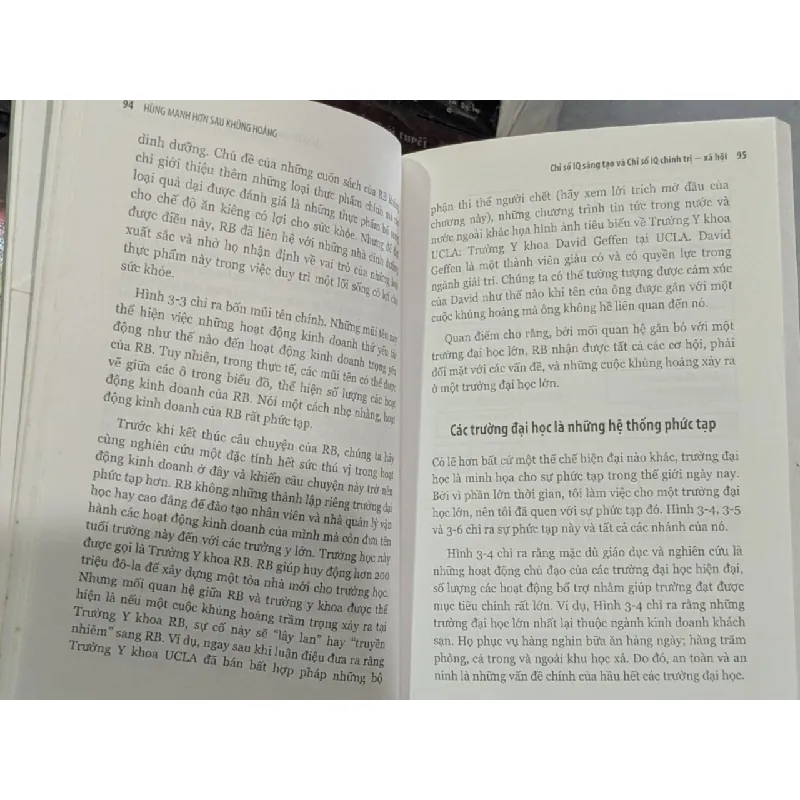 Hùng mạnh hơn sau khủng hoảng - Ian I.Mitroff 609775