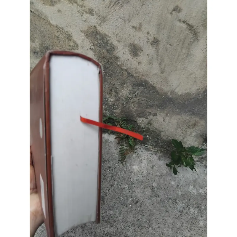 Tiến trình văn hóa Việt Nam từ khởi thủy đến thế kỷ XIX 1020969