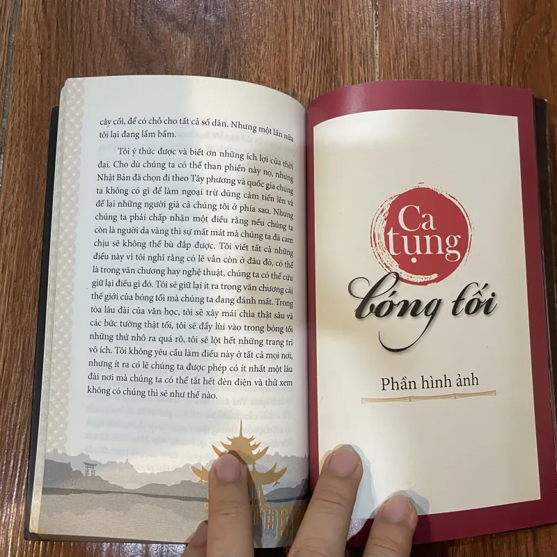 Ca tụng bóng tối - Junichiro Tanizaki (7) 971646