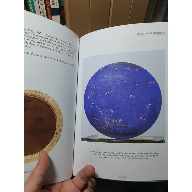 Rồng đại việt 612519