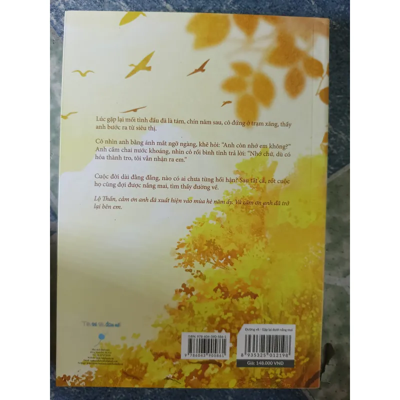 Đường về gặp lại dưới nắng mai - Mặc Bảo Phi Bảo 933570