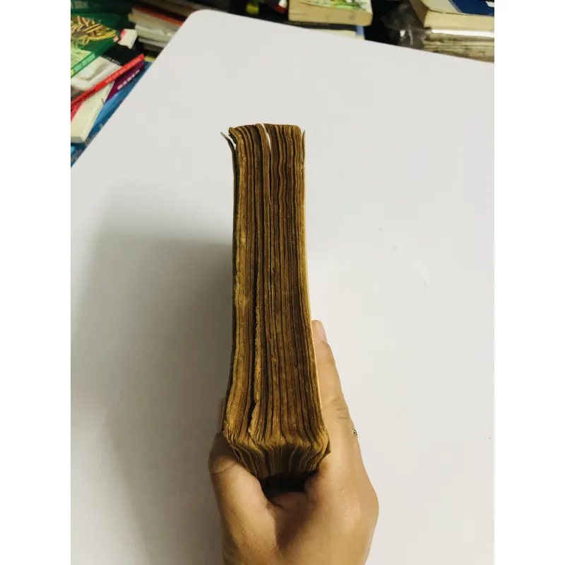 NHỮNG ĐOÁ HOA YÊU 1973 795543