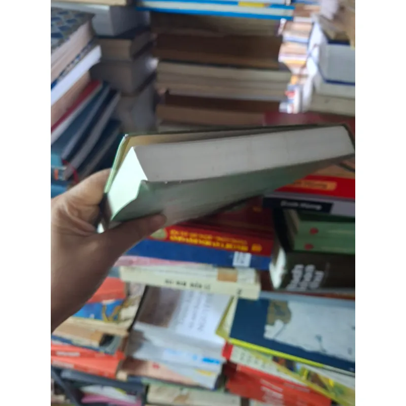 Đen trắng và ánh sáng tiểu thuyết 995097