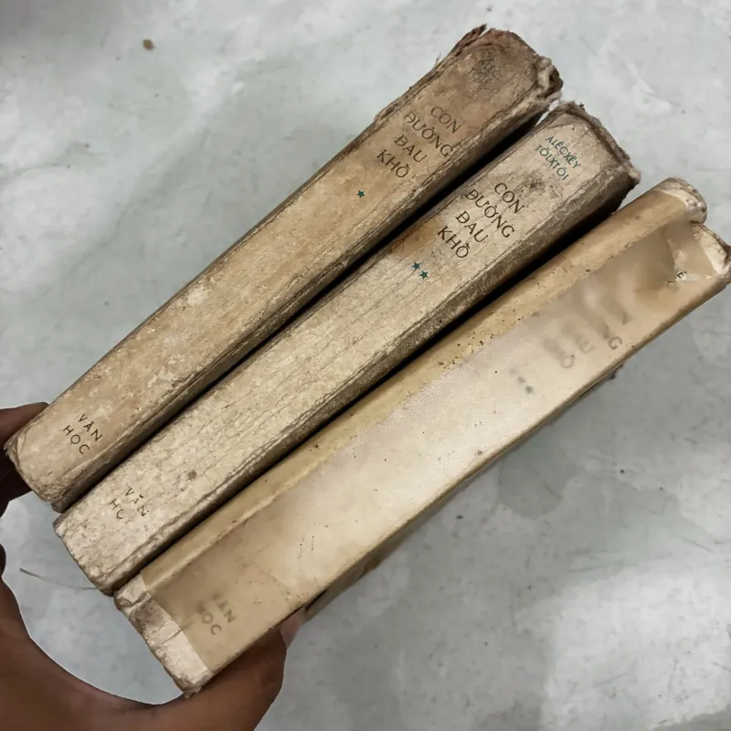 Con đường đau khổ (Bộ 3 tập) 1030849