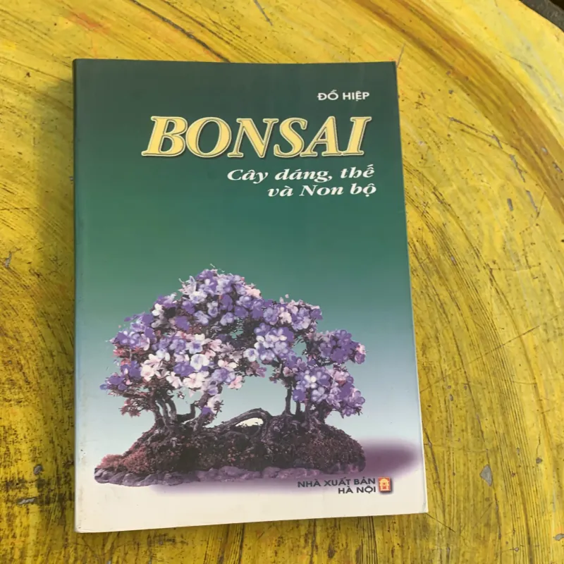 COMBO BONSAI Cây dáng, thế và Non bộ  775779