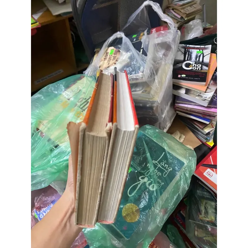 Sách đất vỡ hoang bìa cứng 312736