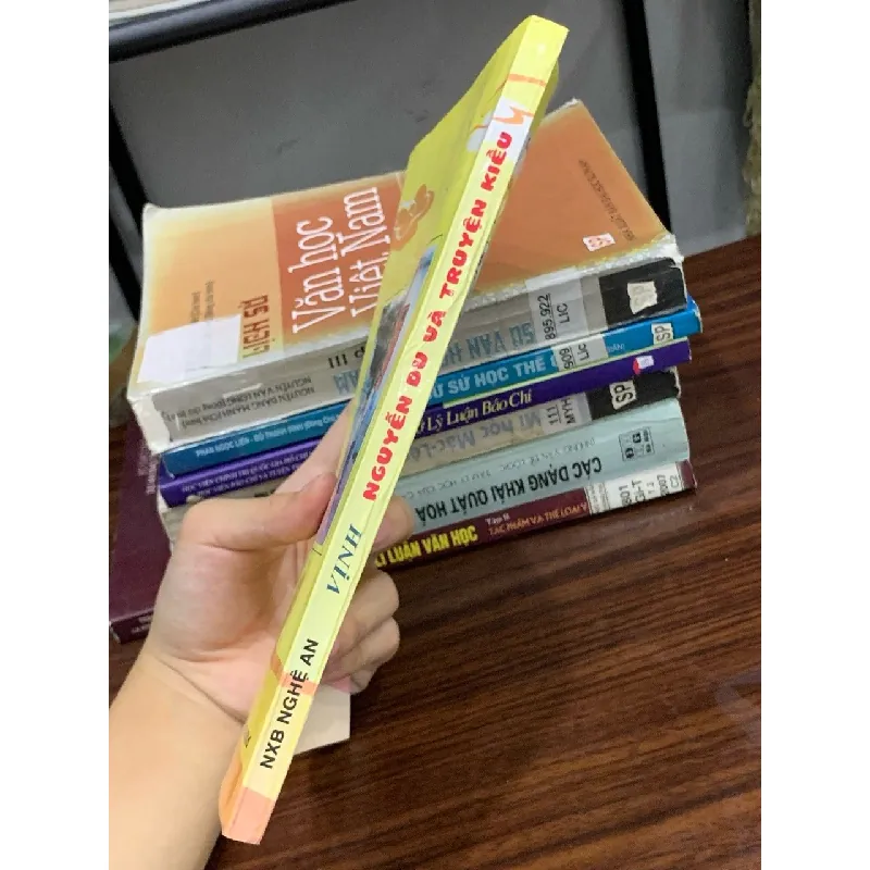 Nguyễn Du và Truyện Kiều – Vịnh 593333